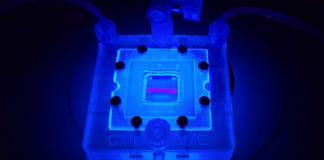 Bioprinting brings vascularized tissue one step closer Reversible Embedding of Suspended Hydrogels (FRESH) 3D bioprinting technique