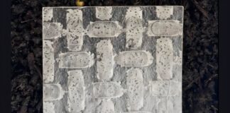 Renewable rice robots offer appetising role for the future Rice paper has material characteristics similar to the most a widely used silicone materials in soft robotics