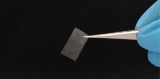 Researchers develop living material from fungi thin-mycelial-film