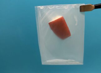 Leaf-inspired design makes bioplastics degradable and stronger