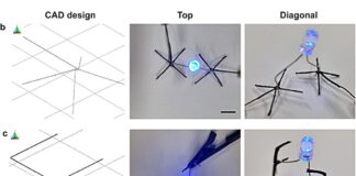 3D printing biodegradable polymers into functional electronics 3D printing method that produces electrically conductive structures from sustainable materials