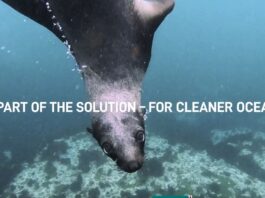 Maximize Aesthetics with Post-Industrial Polypropylene Sheets