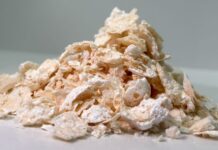 Biodegradable PET alternative bio produced Biodegradable PET alternative bio produced at unprecedented levels