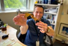 NASA Aeroshell Material Takes Extended Space Trip NASA-Aeroshell-Material-Takes-Extended-Space-Trip