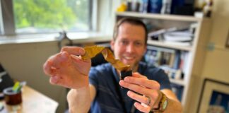 NASA Aeroshell Material Takes Extended Space Trip NASA-Aeroshell-Material-Takes-Extended-Space-Trip