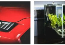 Polycarbonate vs. Acrylic: Key Differences for Industrial and Consumer Applications polycarb-vs-acrylic-applications