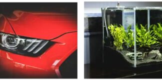 Polycarbonate vs. Acrylic: Key Differences for Industrial and Consumer Applications polycarb-vs-acrylic-applications