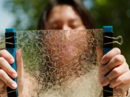 Waste from the fishing industry into biodegradable plastic DMSE-senior-Jacqueline-Prawiras-fish-offal-plastic-alternative