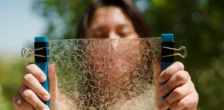 Waste from the fishing industry into biodegradable plastic DMSE-senior-Jacqueline-Prawiras-fish-offal-plastic-alternative